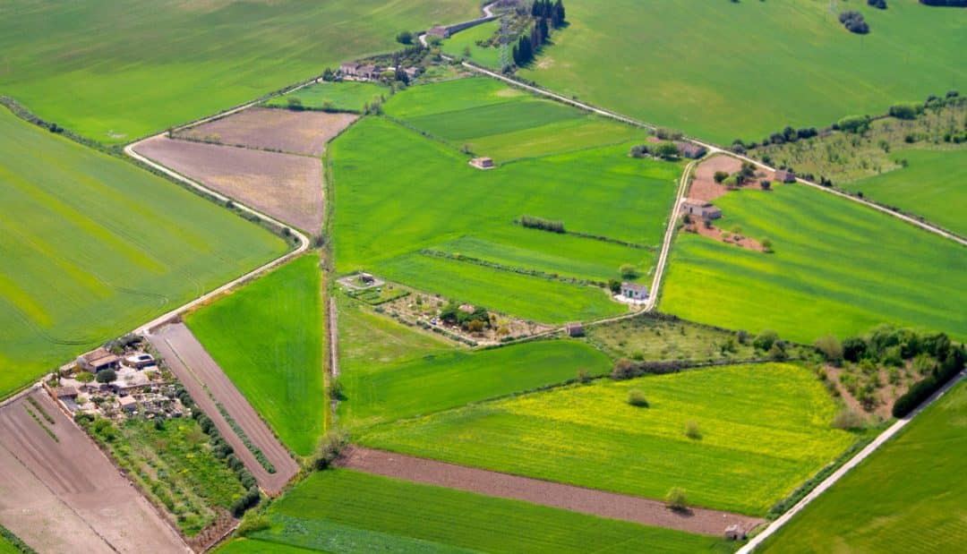 Fique Atento ao Prazo para fazer o Cadastro Ambiental Rural